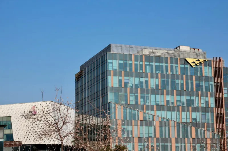 Beyond the Capital: How Regional Consultancy Hubs Are Redefining Professional Success